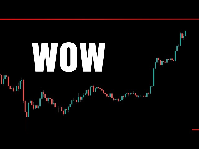$LAPTOP Launch | Live Bitcoin Trading