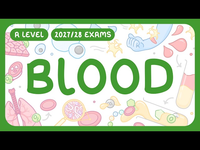 A-Level Biology - Blood - Red & White Blood Cells | Platelets | Plasma (2027/28 exams)