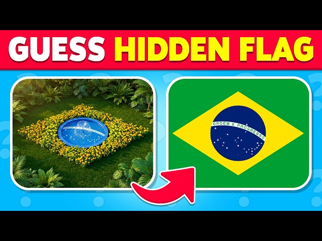 Guess the Hidden FLAG by ILLUSION ✅🌎🚩 | 60 Optical Illusions