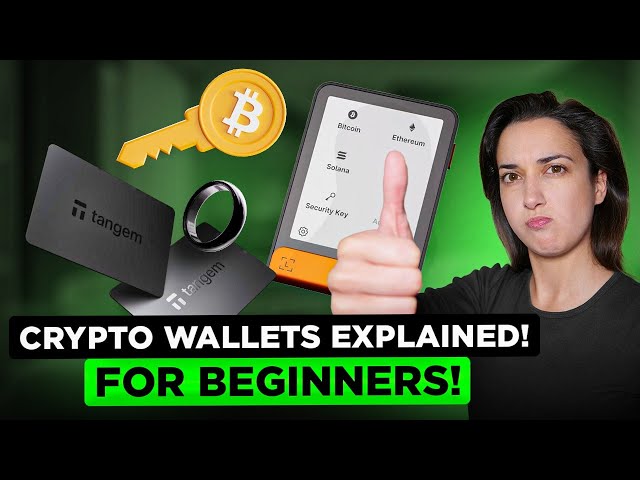 Crypto Wallets Explained! (Beginners' Guide!) 📲 🔑 (2025 Edition!) ⭐⭐⭐⭐⭐ Ultimate Step-by-Step! 😎