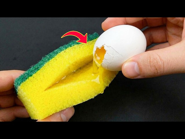 You’ll be amazed by the results when you put an egg on a dish sponge! Why didn't I know this sooner?