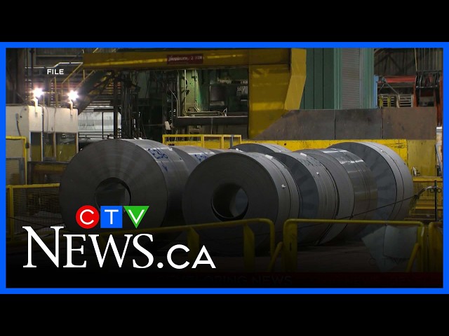 Stelco layoffs put hundreds of Hamilton steel jobs at risk