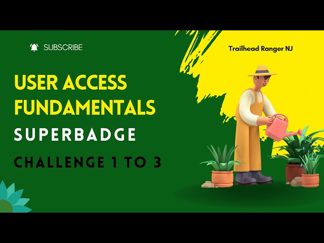 User Access Fundamentals : Superbadge Unit | Challenge 1 to 3