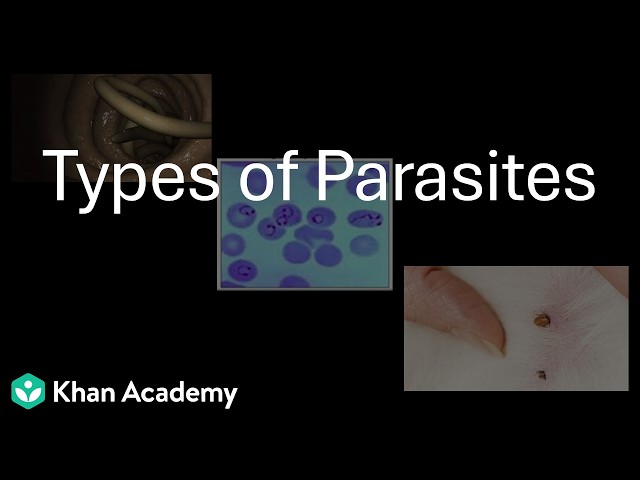Types of Parasites | Biology in Human Welfare | Class 11 | Zoology | Telangana | Khan Academy