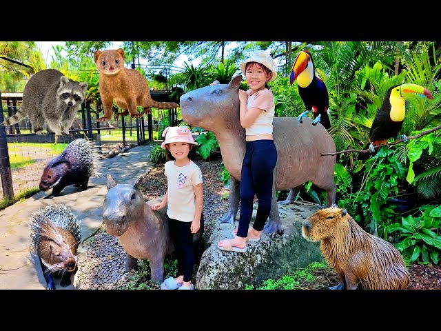 Ikut Harper Kasih Makan Capybara, Rakun, Landak, Toucan dan Garangan