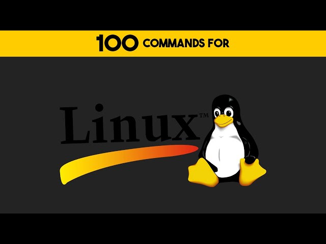 100 Linux Commands You NEED To Know (No BS, No Fluff)