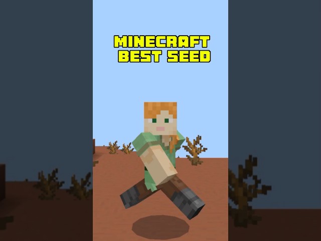 Minecraft Best Seed #minecraft