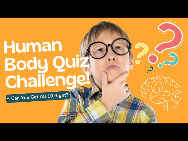 Human Body Quiz: Test Your Knowledge