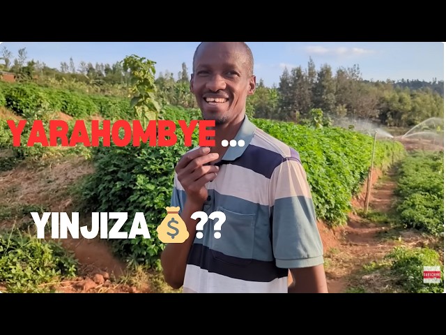 👉 UYU Muhinzi YAMPUMUYE AMASO!Yahereye kuri 40x50m none afite Hegitari 5 🚀👩‍🌾👨‍🌾