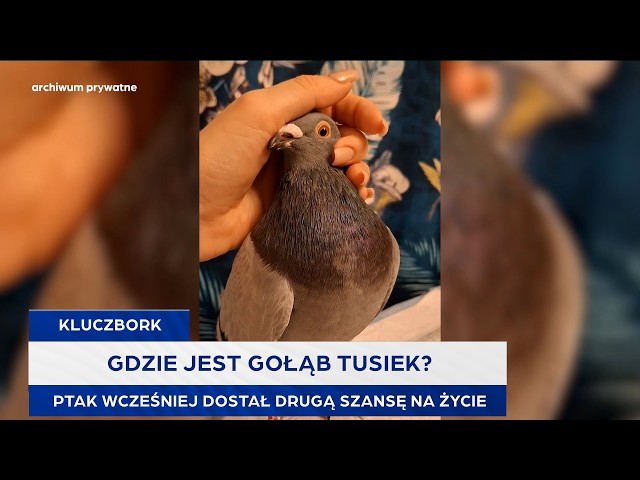 TVP3 OPOLE