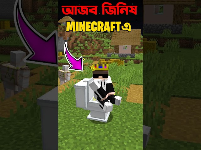 The Secret Toilet Bar In Minecraft #minecraft