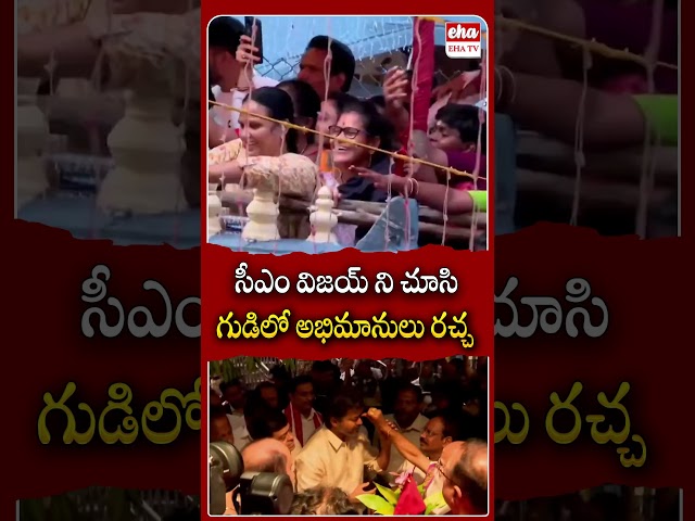 సీఎం విజయ్ ని చూసి గుడిలో అభిమానులు రచ్చ #cmvijay #cmvijayvisit #vijayawada #ytshorts #ehatv