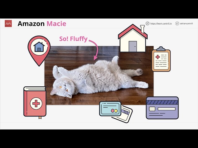Mini-Project : Learn how to use Amazon Macie to identify sensitive information in S3 buckets