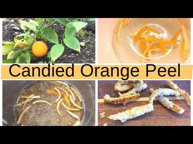 How to Make Candied Orange Peels