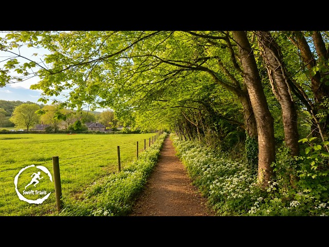Peaceful Spring Trail Run | Countryside Treadmill Running Scenery (70 Min Virtual Run)