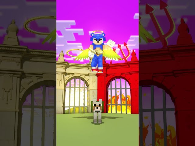 Help Angel Sonic Choose a Door for the Dog