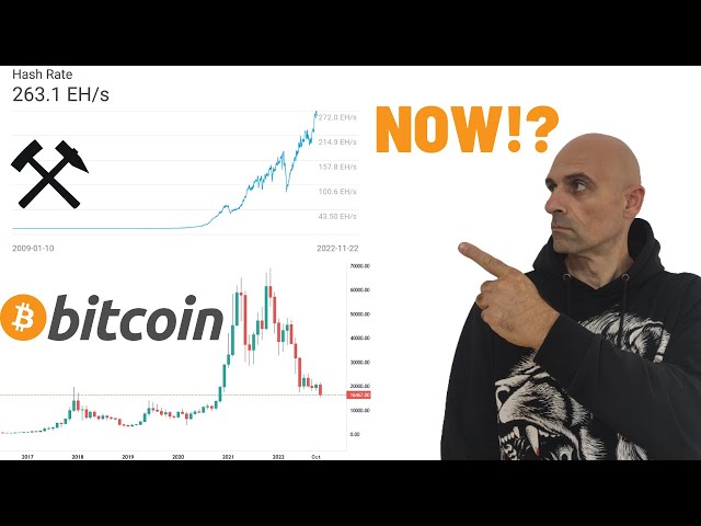 NOW!? is the Best time to be in Crypto! #crypto #bitcoin #mining