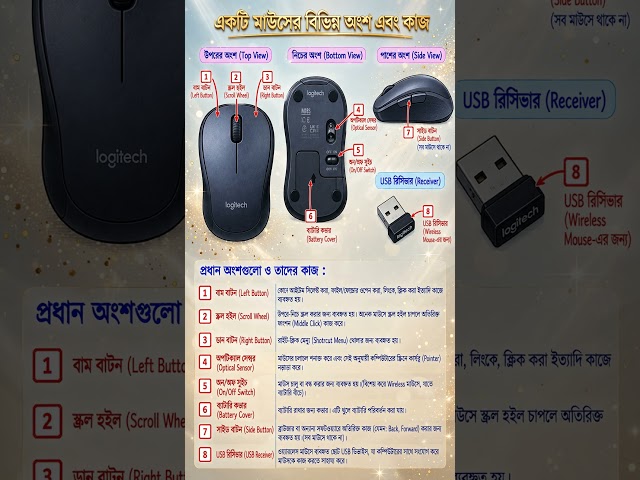 একটি মাউসের বিভিন্ন অংশ এবং কাজ | Parts of a Mouse in Bengali | Computer Mouse Tutorial
