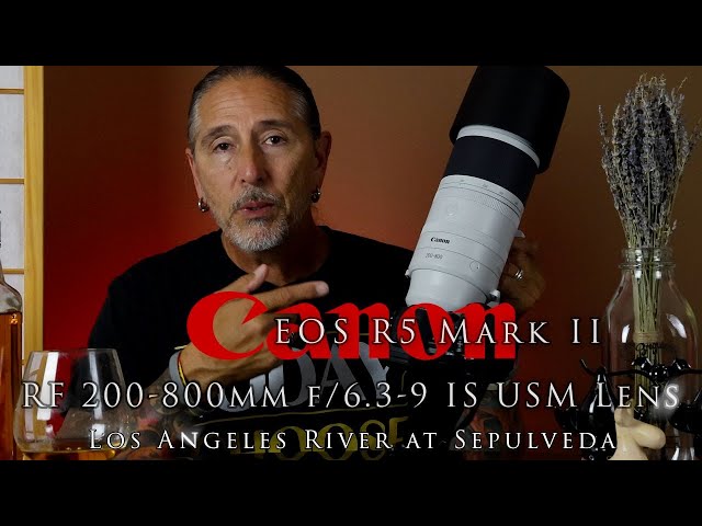 Canon R5 mark II and 200-800mm lens at the Los Angeles River - how much tech do we need?