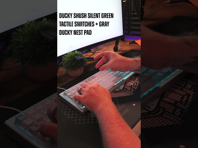 Ducky Cushion98 w/ Tactile Shush Silent Switch | Sound Test