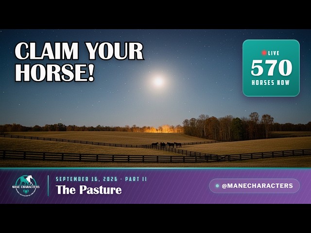 🐴 The Pasture | Chat to Claim Your Own Horse | 571 Live | September 16, Part II