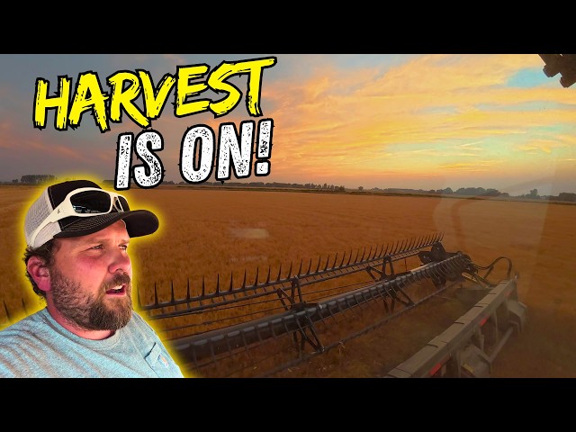 We Thought This Field Was a Disaster… Then This Happened!
