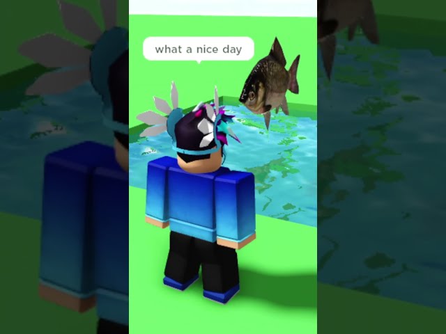 I Scripted your FUNNY Roblox Ideas...