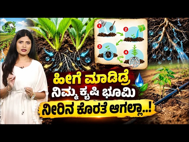 🔴LIVE: WATER SAVING FARMING| ಹೀಗೆ ಮಾಡಿದ್ರೆ ನಿಮ್ಮ ಕೃಷಿ ಭೂಮಿ ನೀರಿನ ಕೊರತೆ ಆಗಲ್ಲಾ..!WATER SAVING FARMING