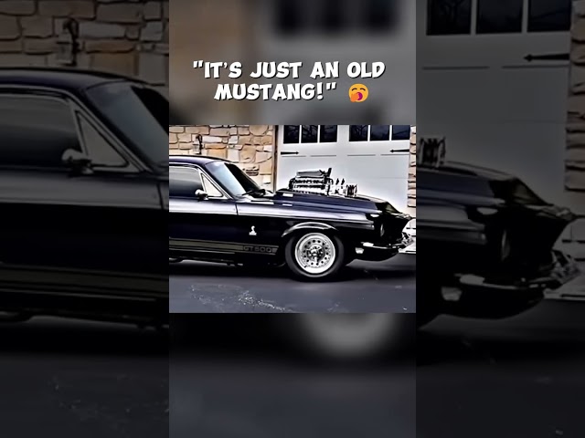 Mustang Shelby GT500: Is This the Greatest Muscle Car Ever Made?