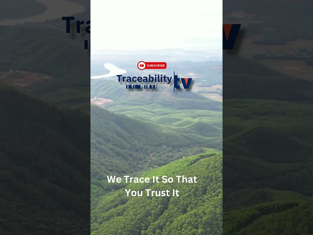 We Trace It So That You Trust It