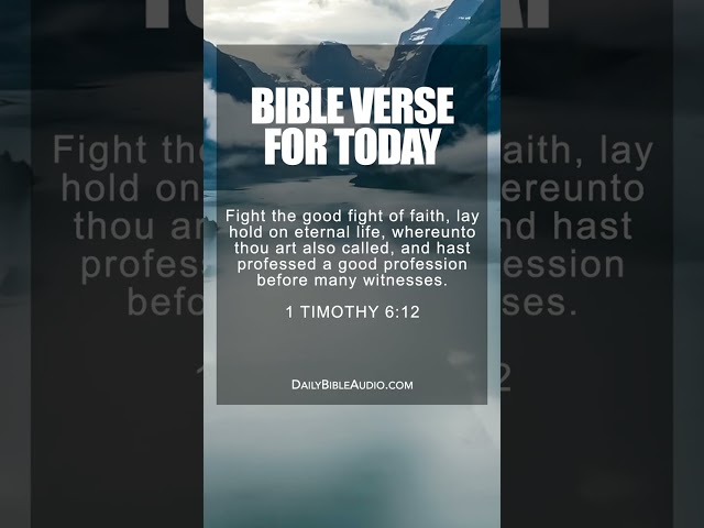 1 Timothy 6:12 | Powerful Bible Verse For Today