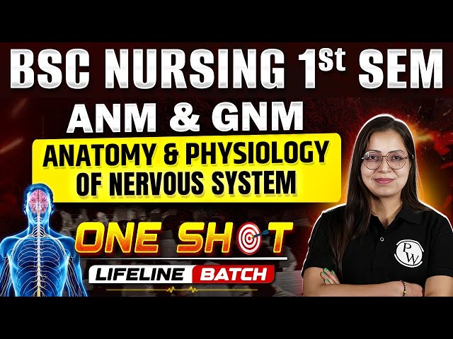 📚 Anatomy & Physiology of the Nervous System | B.Sc. 1st Sem, ANM & GNM | One Shot Session