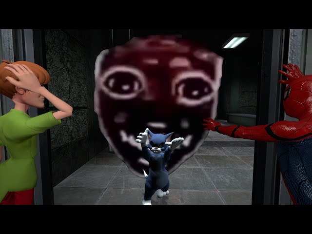 Happy chased us again and he is fast... Funny moments