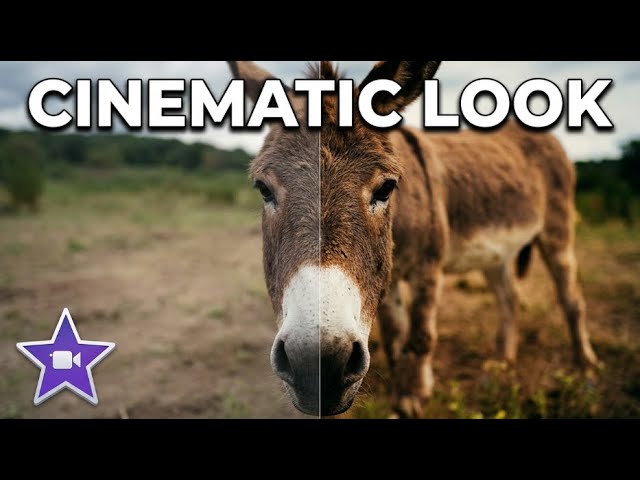 I Made My Videos Look Like a Movie with iMovie's Built-in Tools