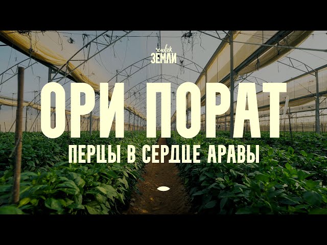 Ори Порат: перцы в сердце Аравы || Человек земли