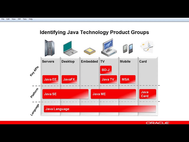 Introducing the Java Technology 1