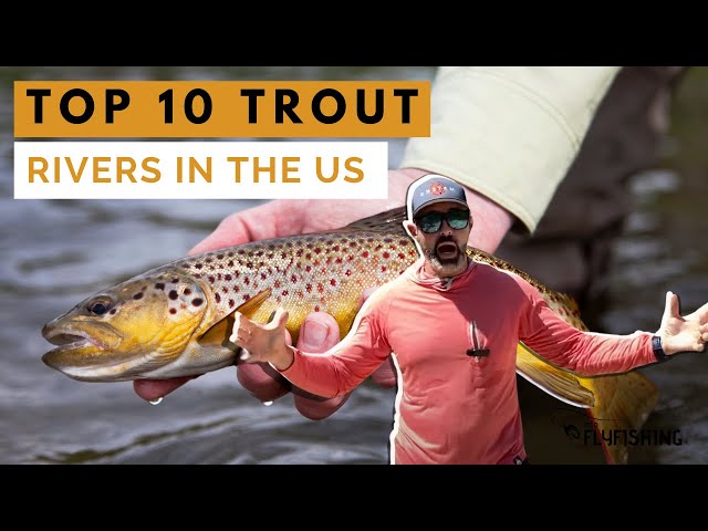 Top 10 Trout Rivers in US