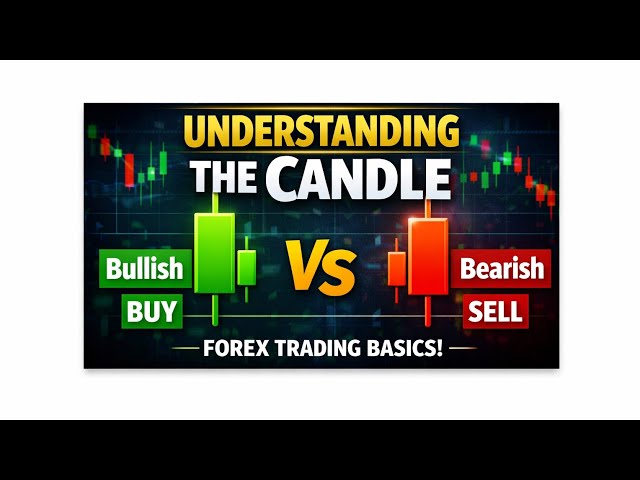 📊 Understanding Candle | Forex Trading Basics 