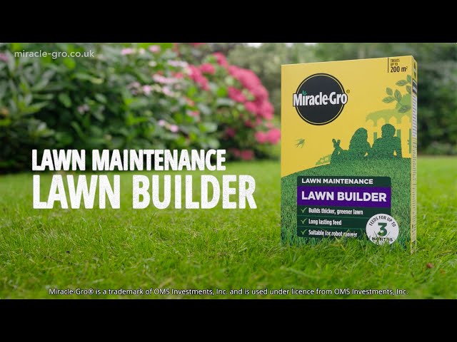 Miracle-Gro® Lawn Builder | Long-Lasting Lawn Food for a Thicker, Healthier Lawn