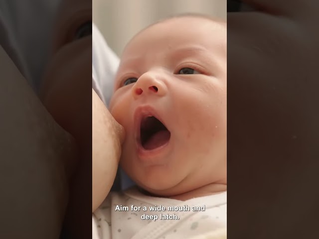 Day 2 of 30 Days ! Newborn Latch & First Breastfeeding Tips for Beginners