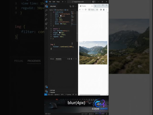 CSS Image Filter Effects 🎨 | Grayscale, Blur, Brightness & Contrast | CSS Tutorial