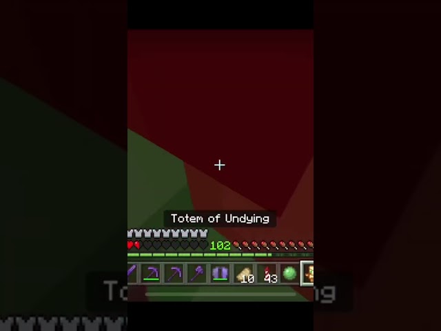 We Shouldn’t Have Survived This… #minecraft