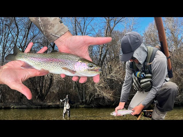 Finding New Waters & Powerful Rainbows (Fly Fishing in Bulgaria)