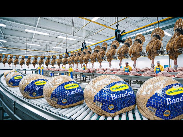 How Butterball Whole & Boneless Turkeys Are Made Processed In Factory