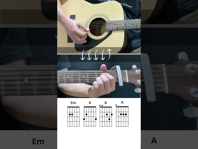 Boulevard Of Broken Dreams by Green Day | Easy 4 Chords Song