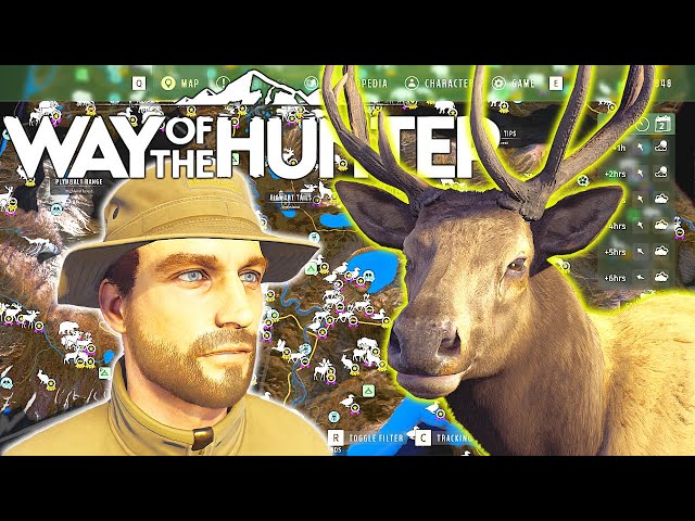 The Only Way of the Hunter Guide You Will Need (Updated) | Way of the Hunter