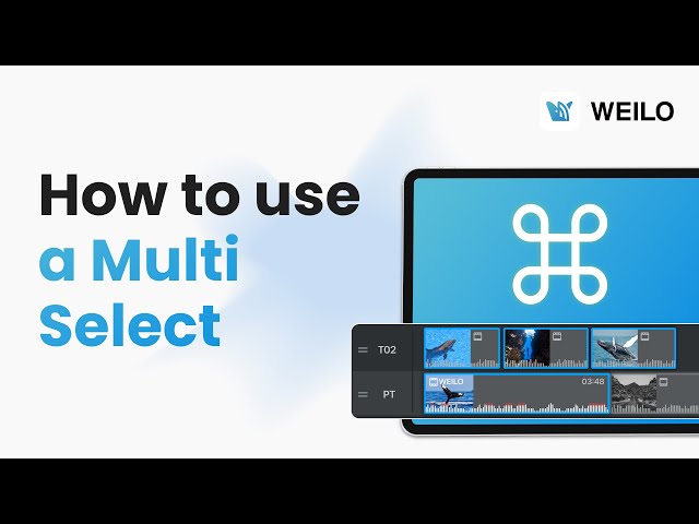 How to use a Multi Select | Basic Tutorial 03