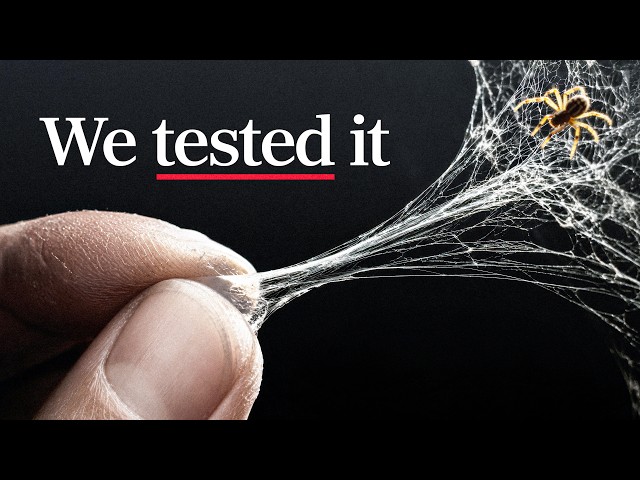 Is spider web stronger than steel?