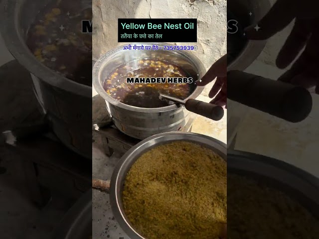 How to Make Yellow Wasp Nest Oil for Hair Regrowth and Alopecia Treatment