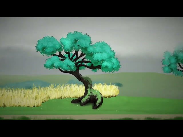 Kletba Vlčího Moru | Full playthrough | All endings